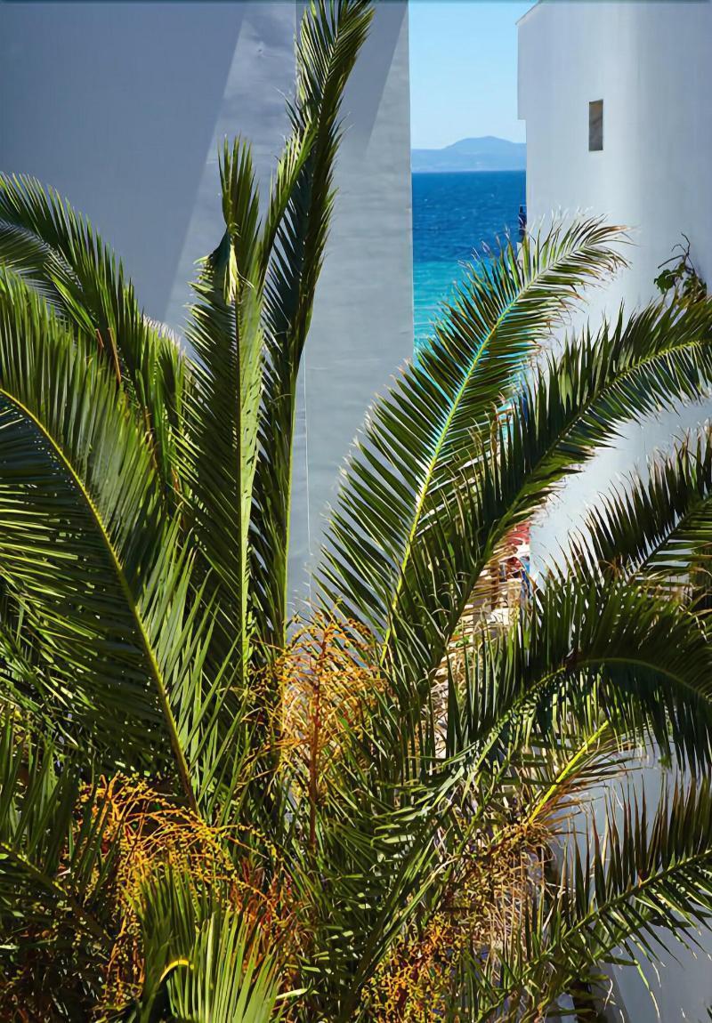 Margarita Sea Side Hotel Kallithea  Extérieur photo